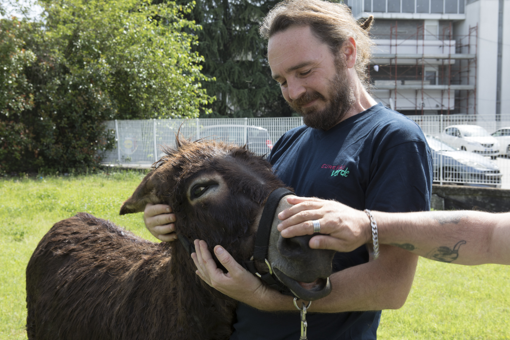 Attività assistite con gli animali