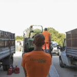 Tirocini e inserimenti lavorativi